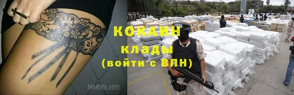 кокс Аркадак
